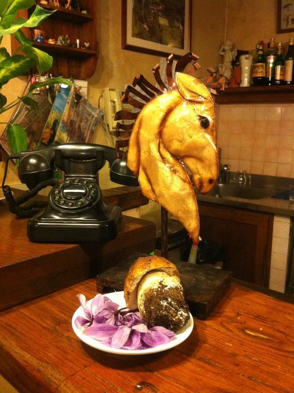 Farm stay Tenuta Dei Cavalieri *