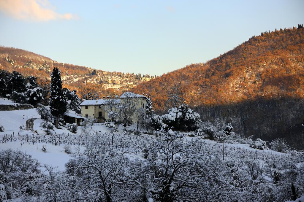 Tenuta Dei Cavalieri Molino del Piano