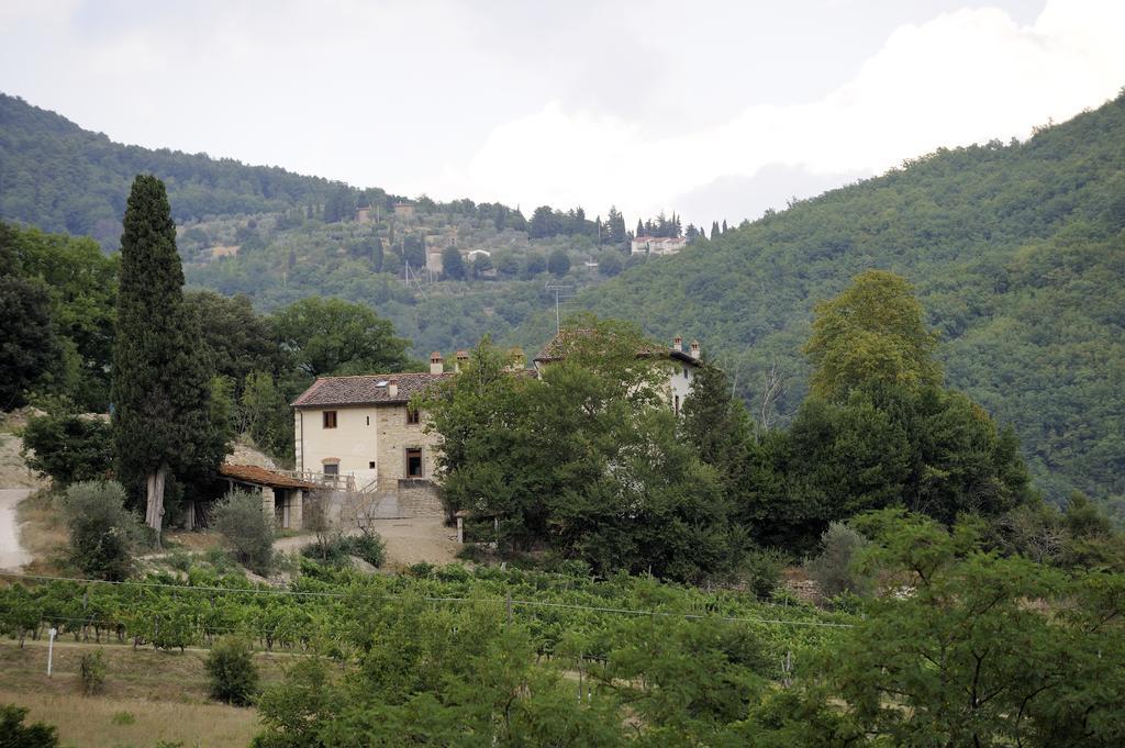 Tenuta Dei Cavalieri Molino del Piano