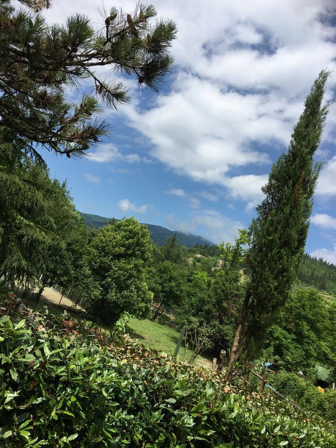 Tenuta Dei Cavalieri Farm stay *